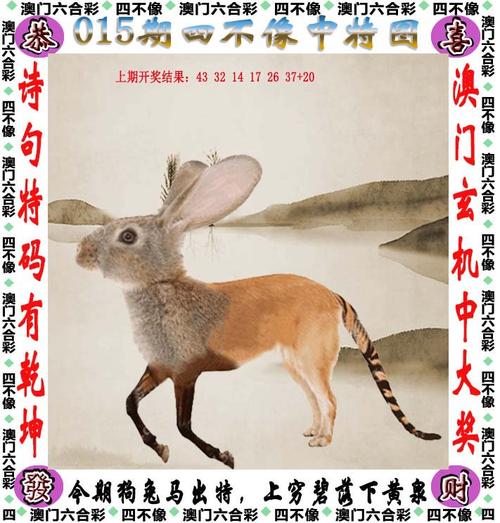 大赢家4949