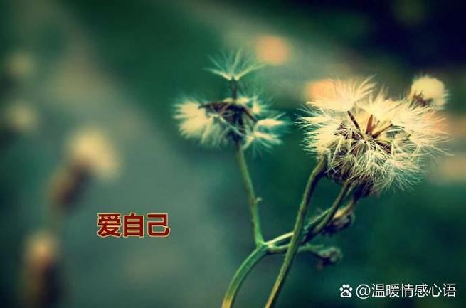 学会爱自己图片