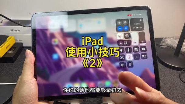 ipad打开麦克风权限在哪里