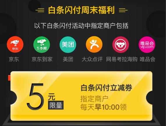 京东闪付支持打白条截图1