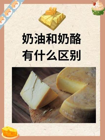 奶油奶酪和奶酪