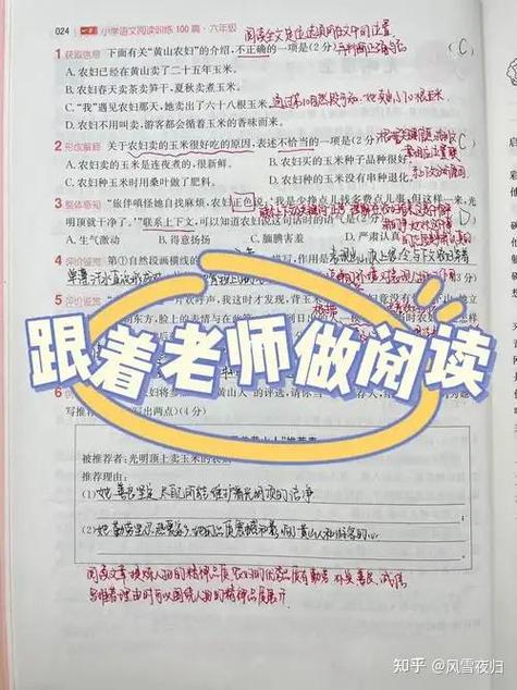 白菜花阅读理解及答案