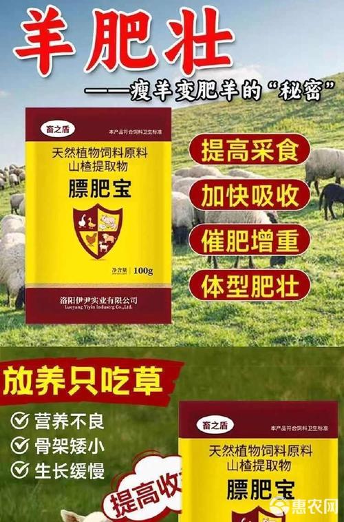 羊喂什么增肥最快最好