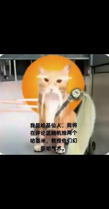 关山哈基米