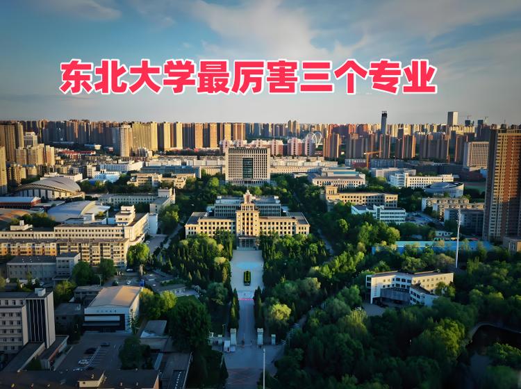 东北大学四大王牌专业截图2