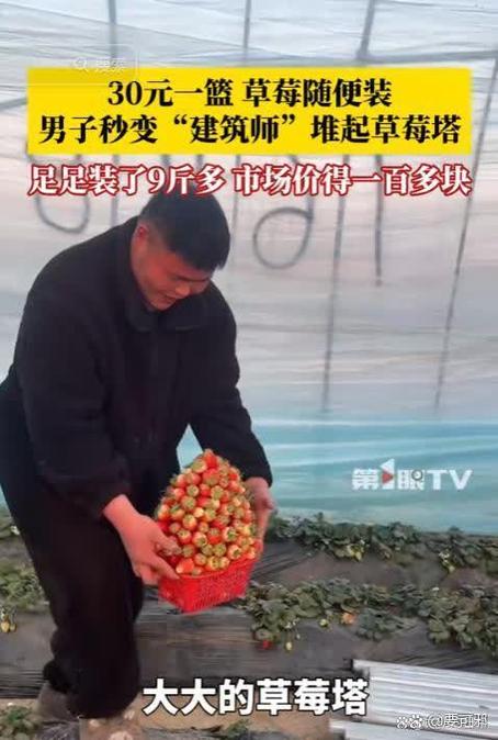 去草莓园摘草莓要钱吗 去草莓园摘草莓要钱吗