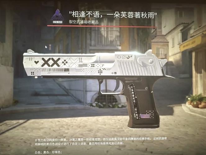 csgo给枪取什么名字