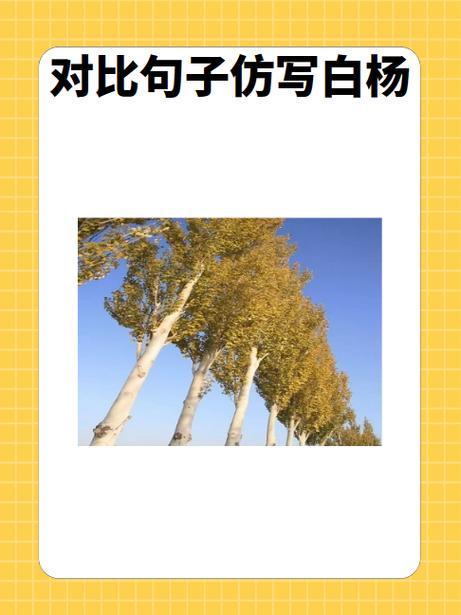 运用对比的手法写句子