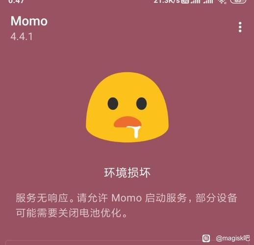 momo打不开了呢