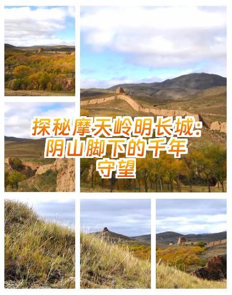 山西左云县鼎翔公棚 山西左云县鼎翔公棚