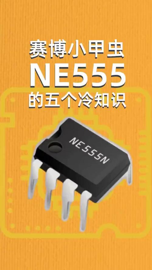 555最新netflix官网