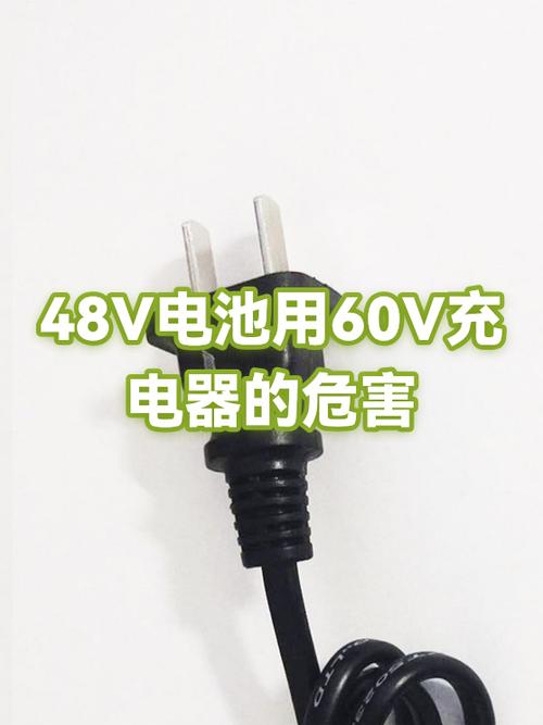 48v充60v充了一晚损害大么