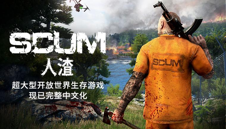 scum是单机游戏吗