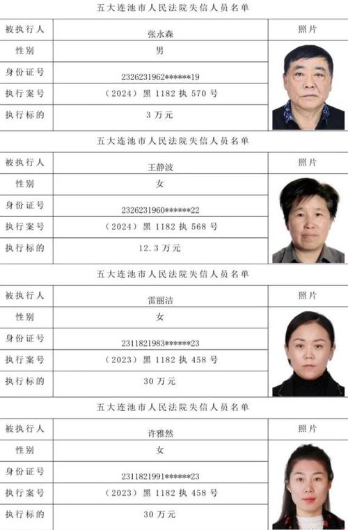 输入姓名找老赖 输入姓名找老赖