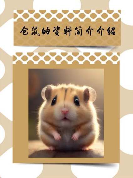 仓鼠几天不吃会死