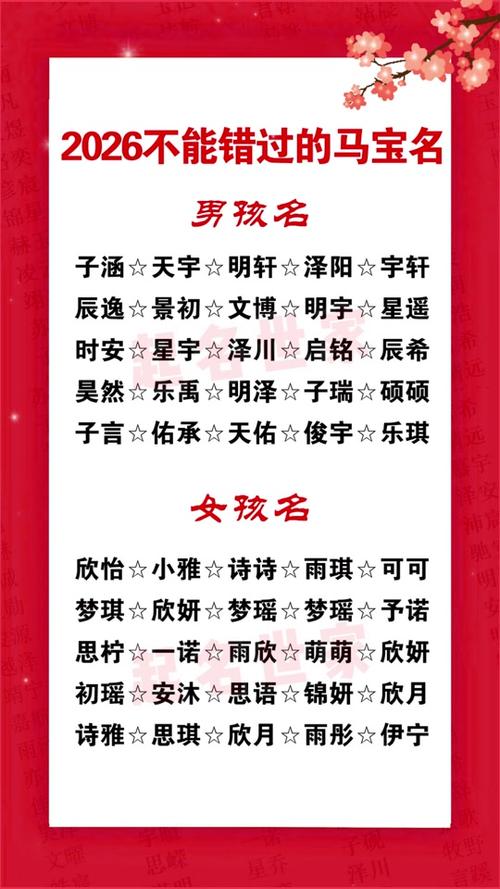 2026最旺男孩名字