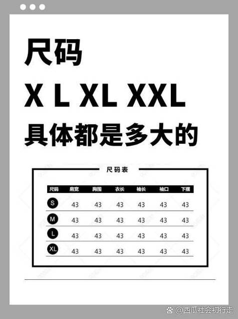 毒上面L码是多大