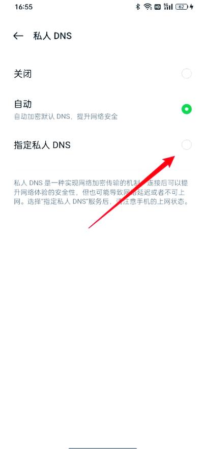 dns地址怎么填写
