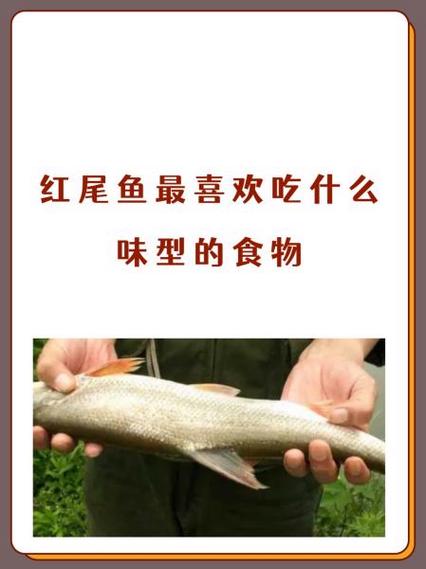 红鱼怎么变白了截图2