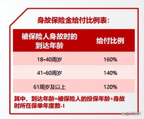 人寿险截图2