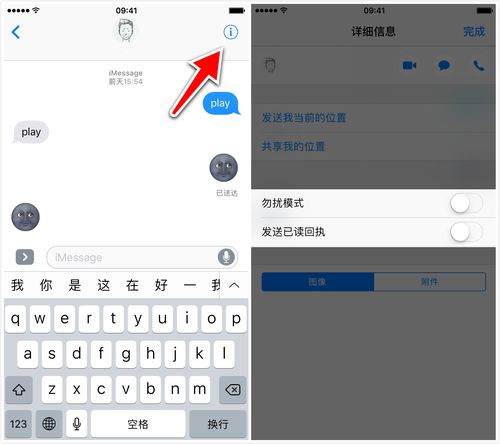 苹果已读回执什么意思