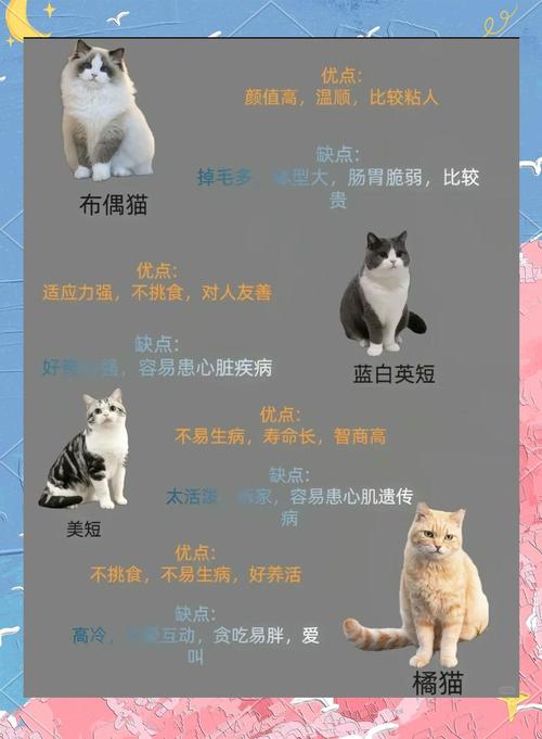 猫咪突然吧唧嘴吐白沫