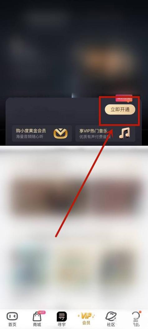 开通小度会员有什么截图2