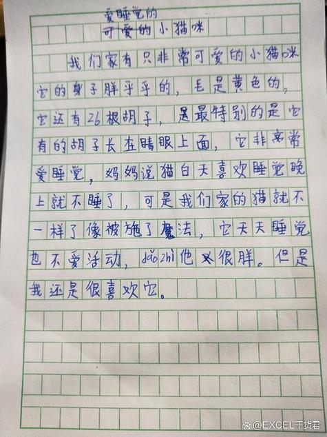 用对比的方法写猫100字