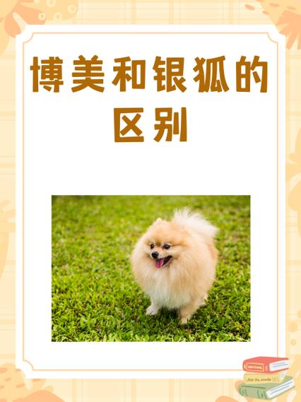 博美犬和狐狸犬的区别