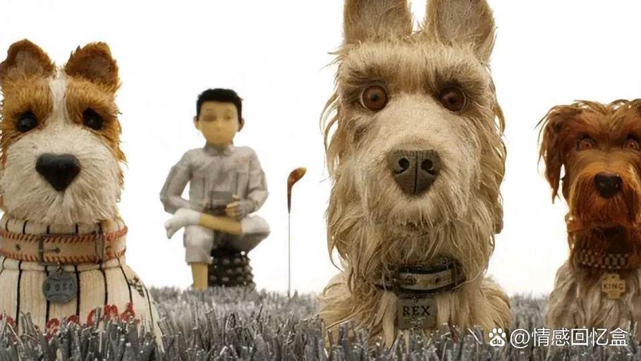 犬之岛动画片在线观看截图2