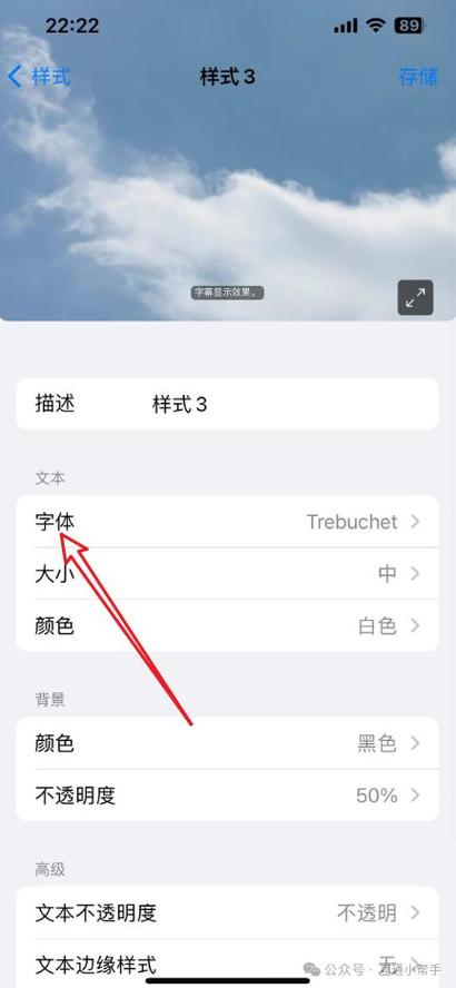 苹果手机如何设置中文模式截图2