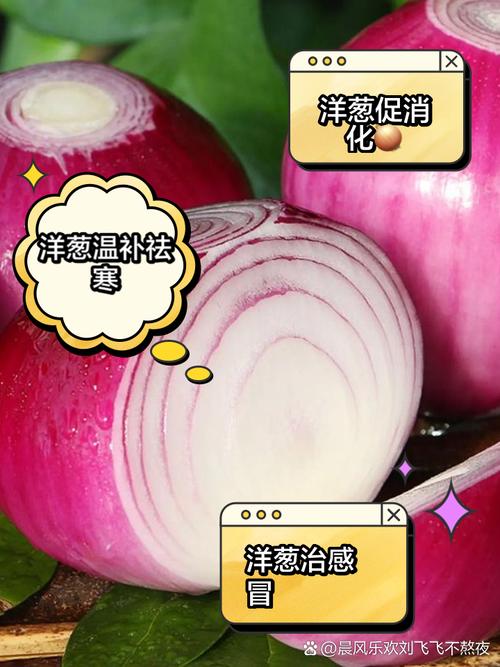 男人吃洋葱的好处能壮阳吗
