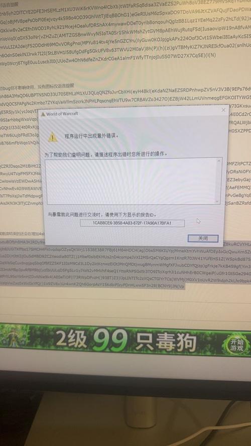 魔兽世界闪退错误132截图1