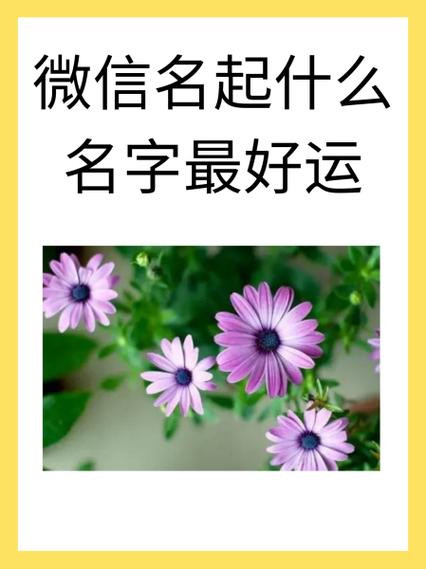 幸运星微信名字好吗 幸运星微信名字好吗