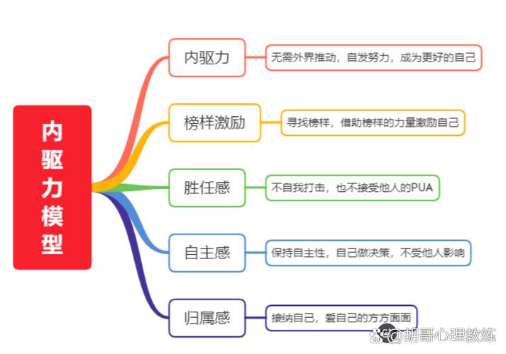 内驱多久一次