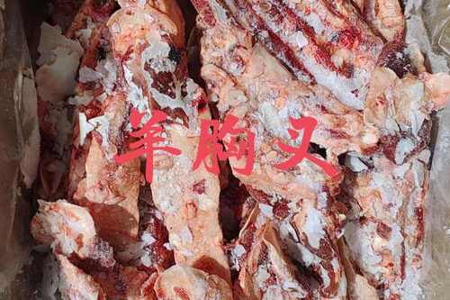 绵羊5.0
