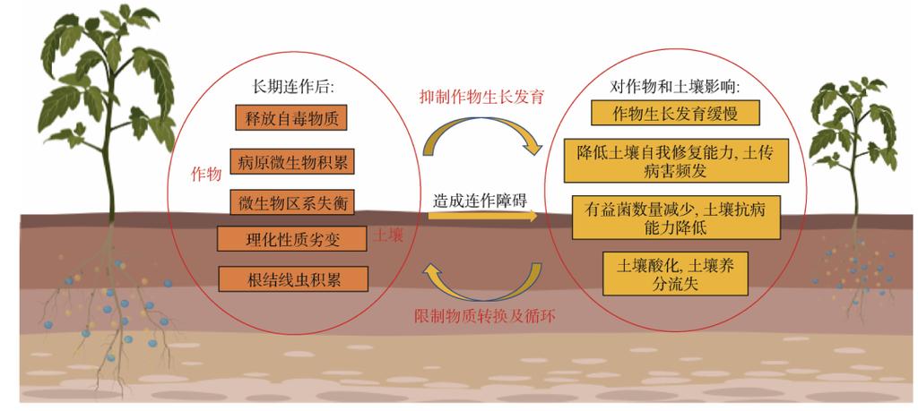 无法连接到ubisoft服务器