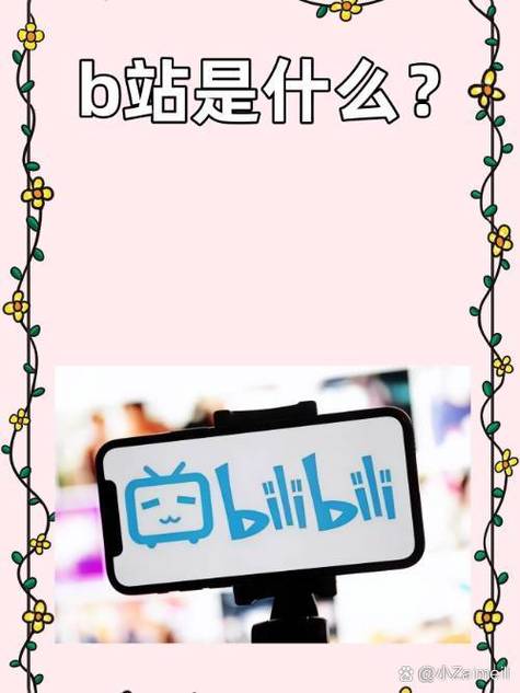 网络b站是指哪里