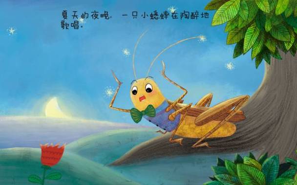 夏天的夜晚小动物的故事
