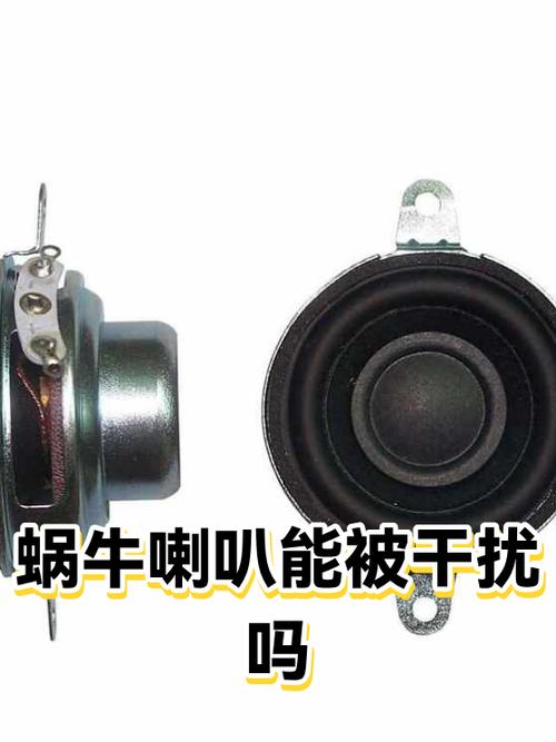 干扰器可以干扰喇叭吗