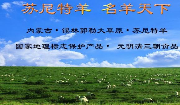 苏尼特最好的三个品牌