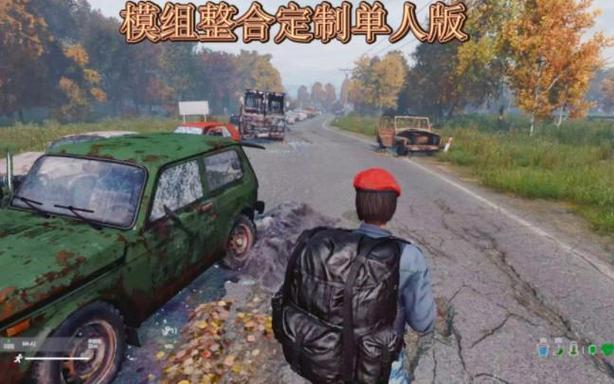 dayz有单人模式吗