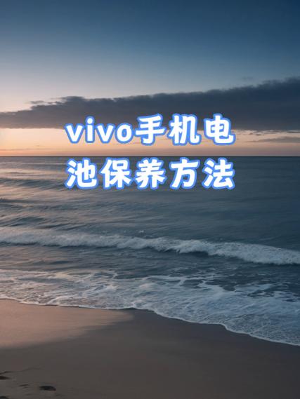 vivo手机电池使用注意事项