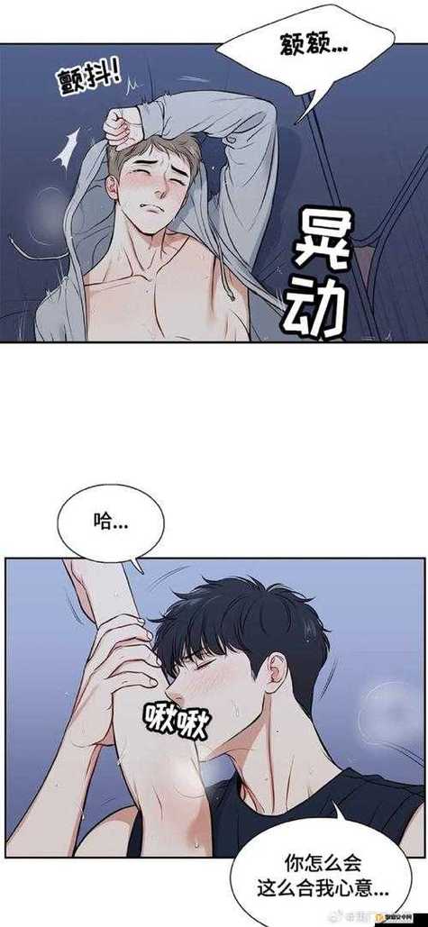 奈斯漫画app官方最新版本更新内容