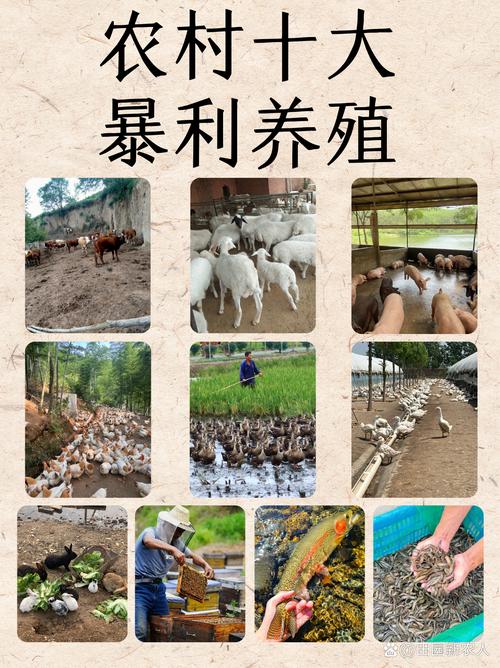 悠享牧业养牛赚钱截图3