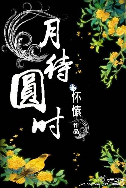 怀愫的小说月待圆时截图2
