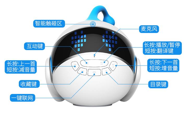 智伴