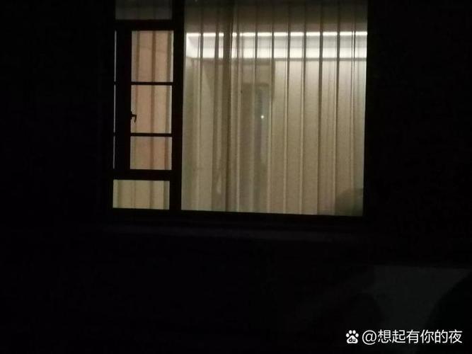 我的邻居睡不着电视剧