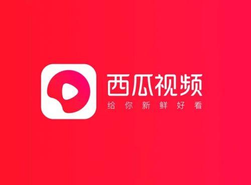 下载西瓜视频极速版最新版截图2