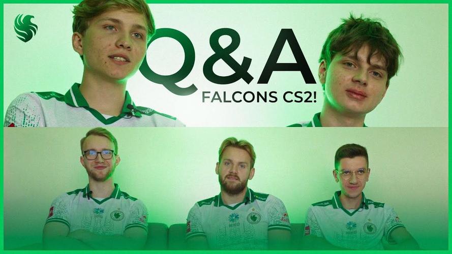 守望先锋falcons成员介绍